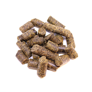 Canola 34
