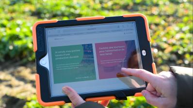 Tablette Oleomarket