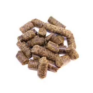 Canola 34